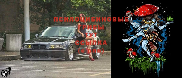 герыч Арсеньев